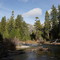 Fordyce creek, California