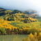 Towards Telluride