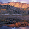 Scout Lake