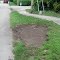 Quickly cleaned garbage pile - great job!