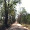 Old dirt road
