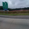 Flowers outside of Florence (Exit 157)