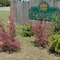 Crickentree Subdivision, Darlington, SC USA
