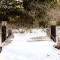 Snowy Bridge