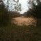 Deer Hunting on Thompson Creek in Louisiana