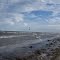 Lake Erie at Sterling State Park