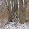 Hunter's hide in the Allens Cove Unit of Erie State Game Area