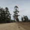 Angle Road