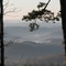 Mountain Mist