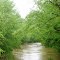 The Green River at Tryon Road
