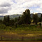 Whitefish, MT