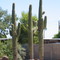 Scottsdale, E Indian Bend Rd