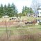 First panorama