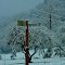 Winter at Cedar Creek Rd.