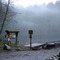 Morning Mist on Battleground Lake, WA