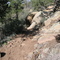 Trail 345 1