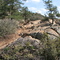 Trail 345 2