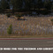 3368 Soldiers as of 4/26/07
