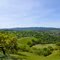 Shell Ridge Open Space