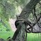 Hugging tree