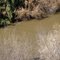 The New River carrying its stew of chemical and biological pollutants north to the Salton Sea.
