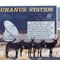 Burros seek refuge from the heat