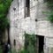 Newaygo ruins