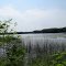 Pettit Lake