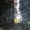 Indian Creek, Big Basin, Oat Canyon, Trail Project