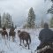 Cutting Trail For Hunting Season