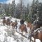 Williams Creek Forest Service Trail Crew