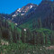 Snake River Range. Up Dead Horse Canyon from South Fork Indian Creek