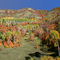 Falls Colors at Palisades Resvr