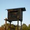 John's Deer Hut