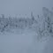 Skiing Sugarbush Vermont