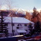 Sugarbush