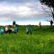 Walpole Island, Land of the FIRST NATION; Conservation Group Tour studying rare wildflowers that came back after  burning invasive 'weeds'.
