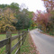 Fall Colors, Igoe Road