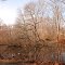 Pond Reflection