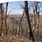 Green Leaf SP South Loop Hiking Trail, pano look North