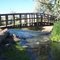 Bridge on Nature Trails