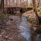 The Old Timber Bridge
