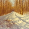 2 feet of snow on High Knob Stone mountain near Norton,Va.