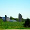 Dorshorst Family Farm