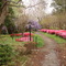 Georgia Springtime