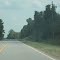 Georgia Routes 11 & 41, PEACH COUNTY