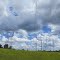 Power Lines