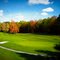 Highlands #8 Green