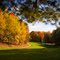 Highlands #4 Green