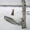 Winter at Round Lake